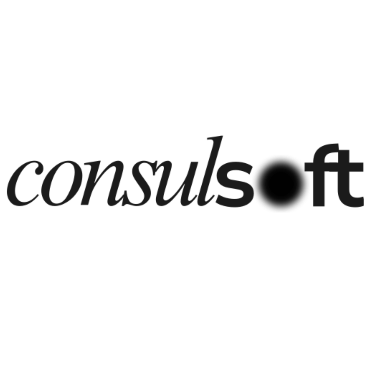 Consulsoft UG — IT Технологија